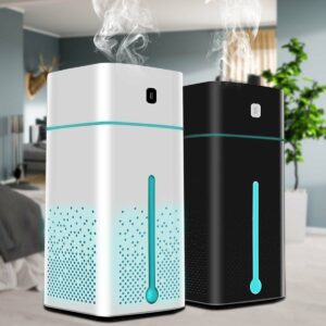 Dual Function Air Purifier Humidifier – Breathe Cleaner | Vigzon